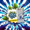 Tokyo Mohoo Pod 東京魔盒電子煙煙彈 藍莓味